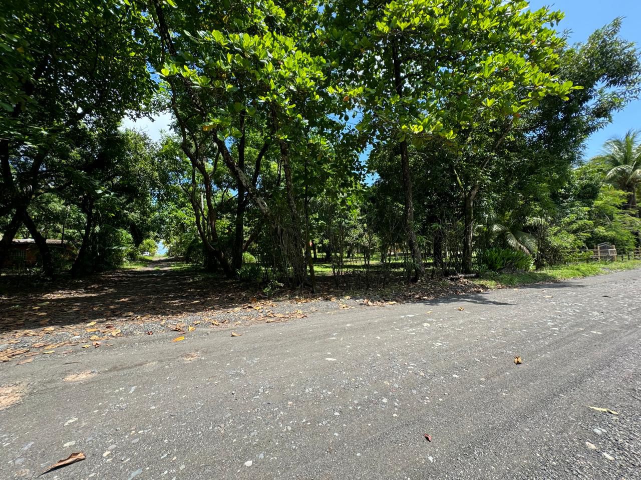 Terreno frente al mar en Playa Bandera - Image 20