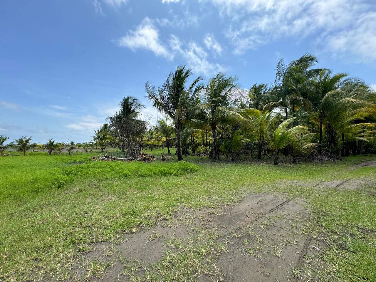 Terreno frente al mar en Playa Bandera - Image 21