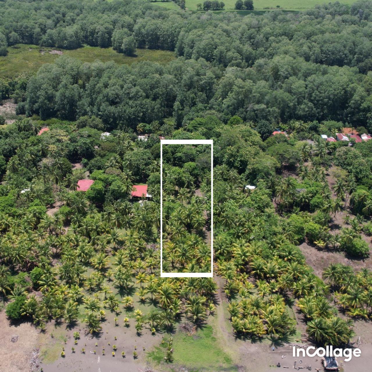 Terreno frente al mar en Playa Bandera - Image 12