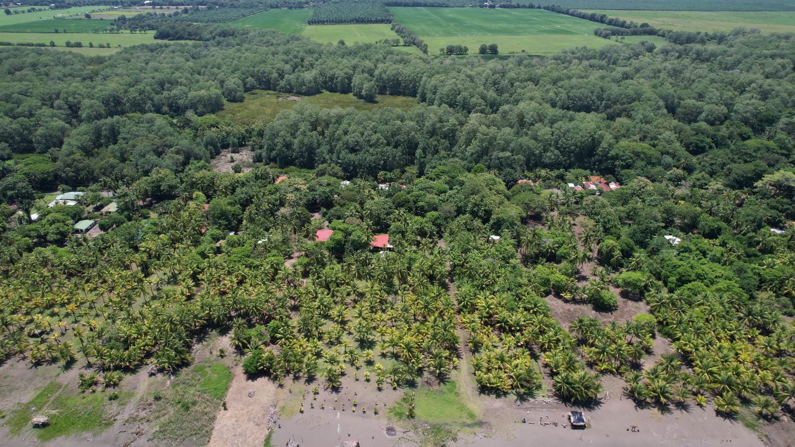 Terreno frente al mar en Playa Bandera - Image 15