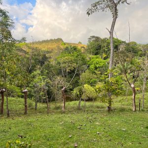 Finca Guapinol, Parrita