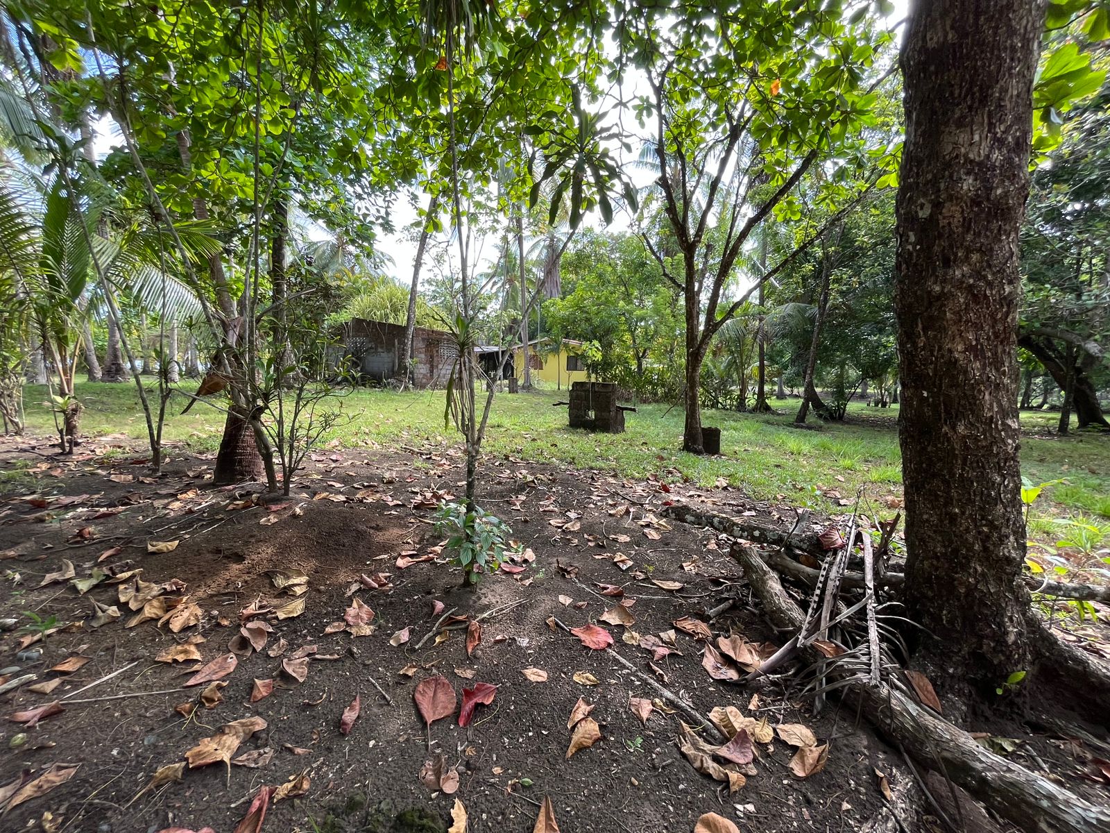 Terreno frente al mar en Playa Bandera - Image 18