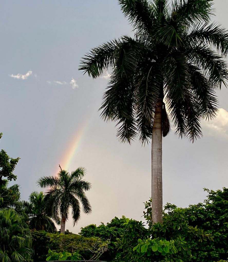 Casa Moa, Malaga, Bejuco - Image 6