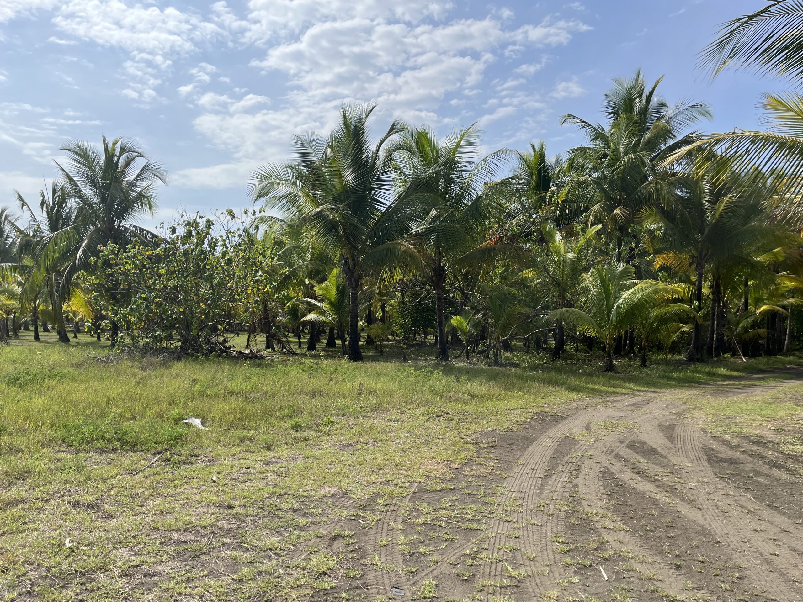 Terreno frente al mar en Playa Bandera - Image 3