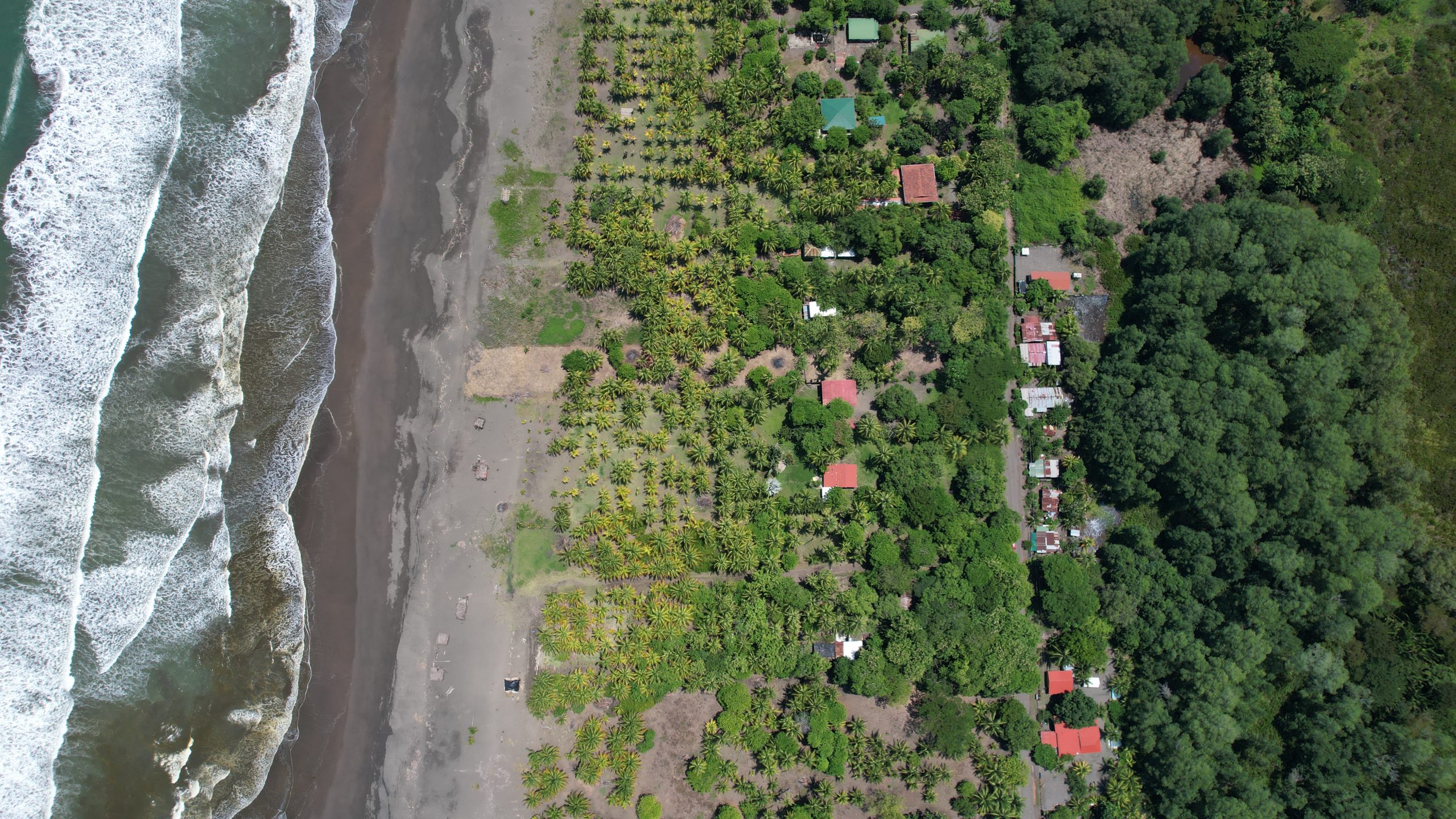 Terreno frente al mar en Playa Bandera - Image 5
