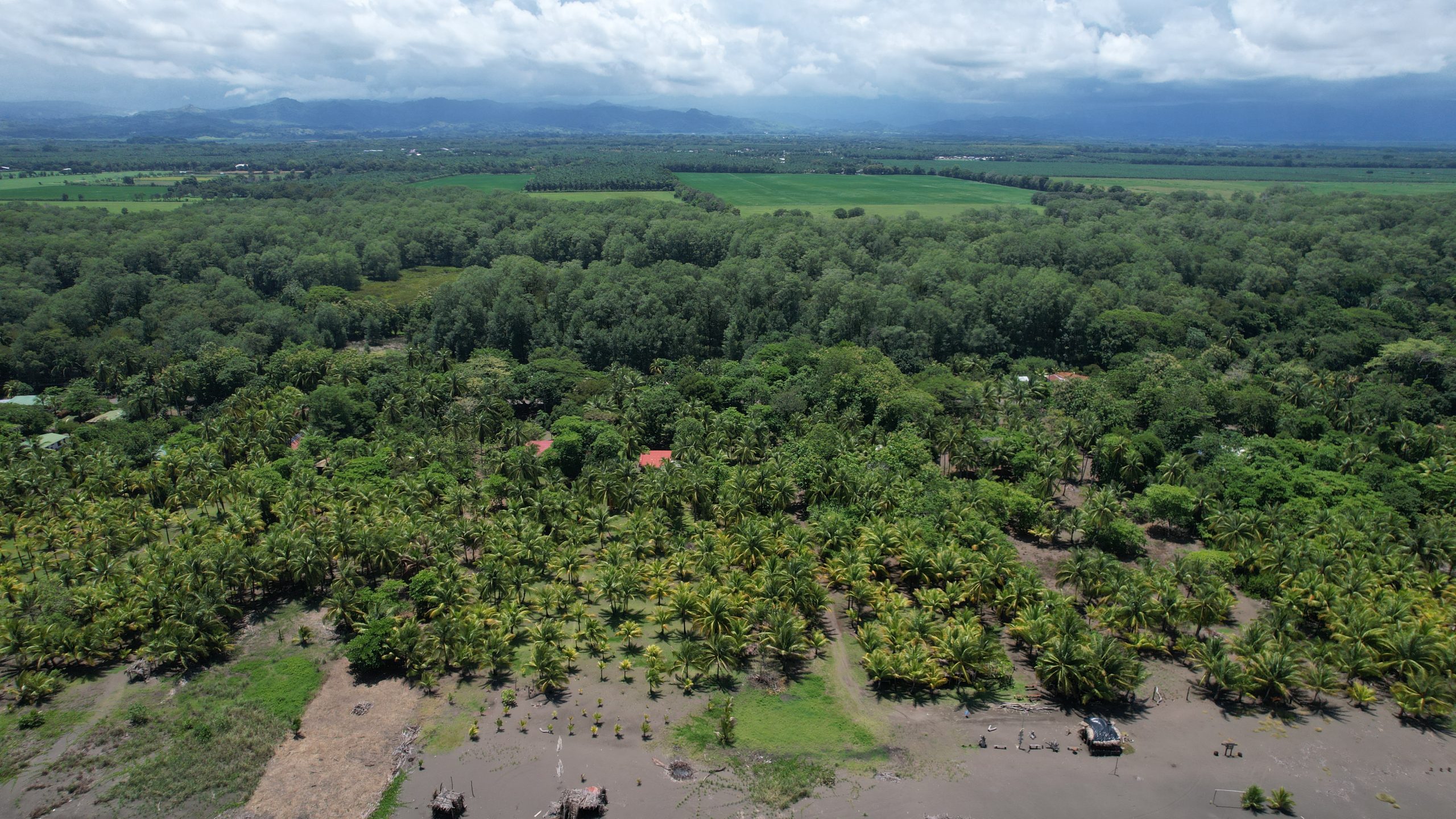 Terreno frente al mar en Playa Bandera - Image 7