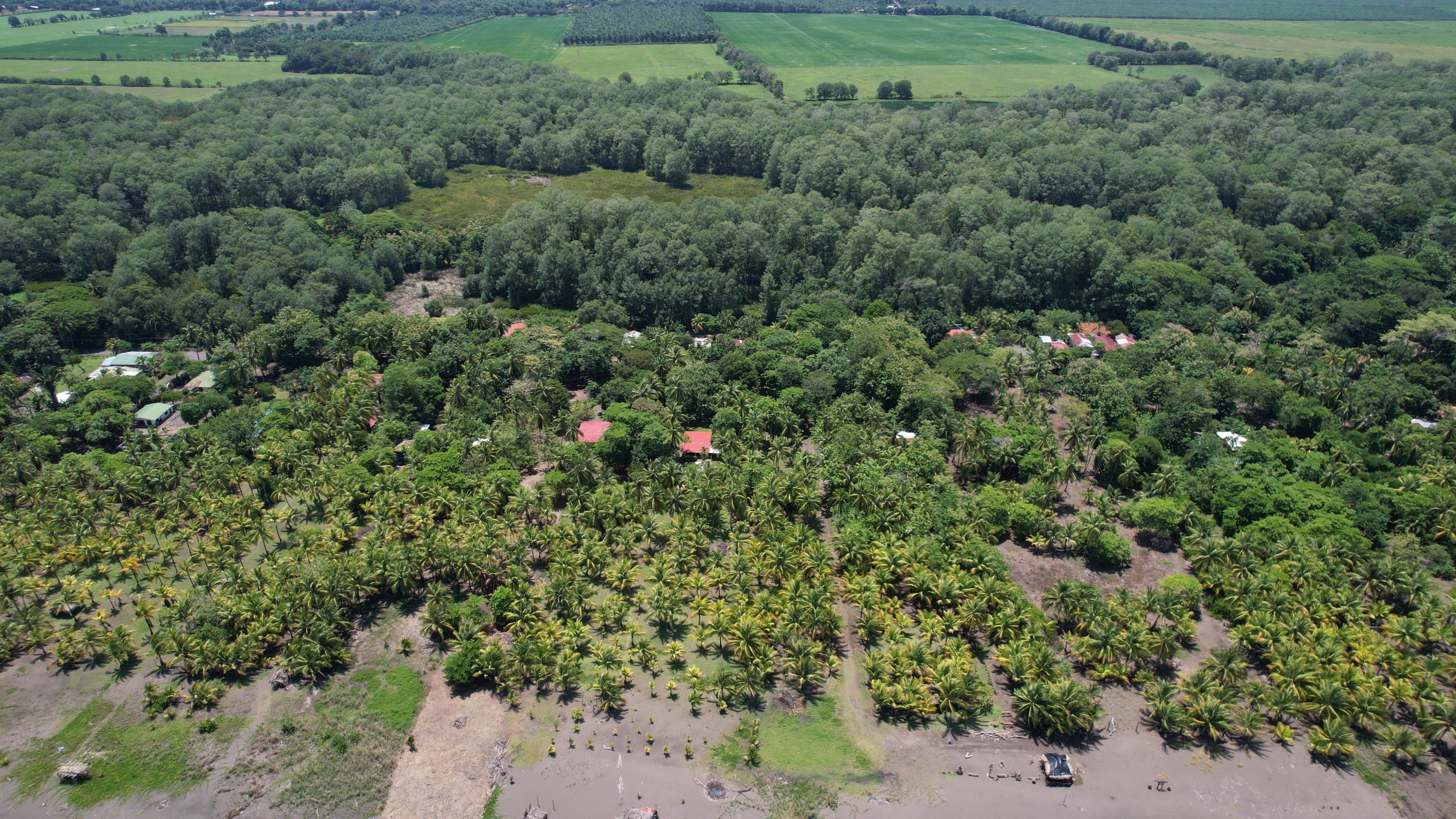 Terreno frente al mar en Playa Bandera - Image 9