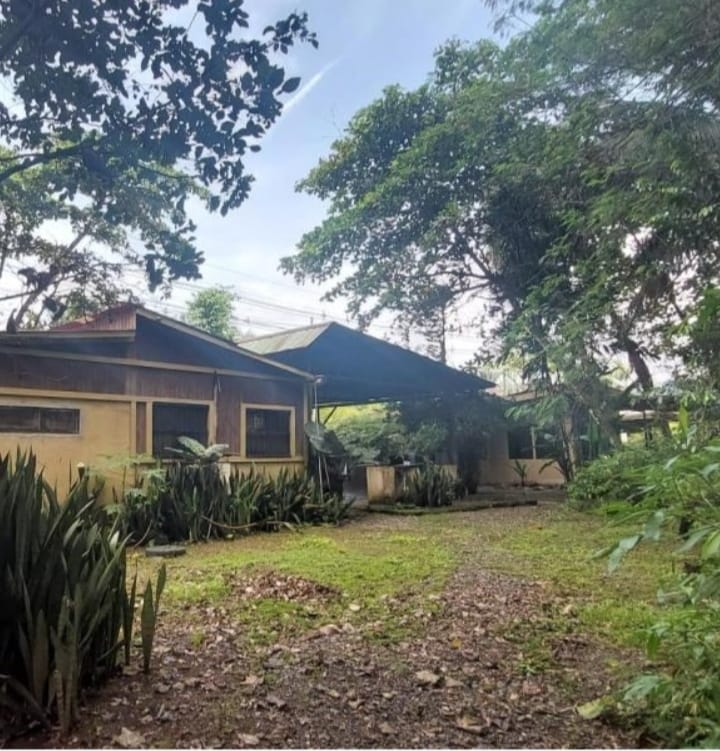 Perla Tropical, Rio Seco, Parrita - Image 3