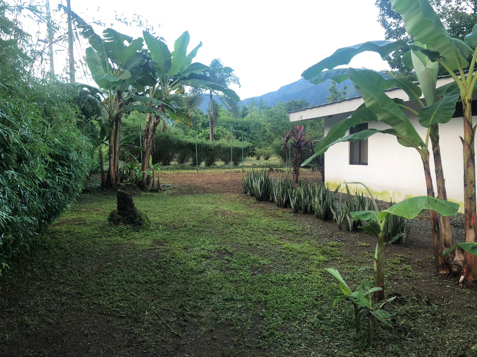 Perla Tropical, Rio Seco, Parrita - Image 5