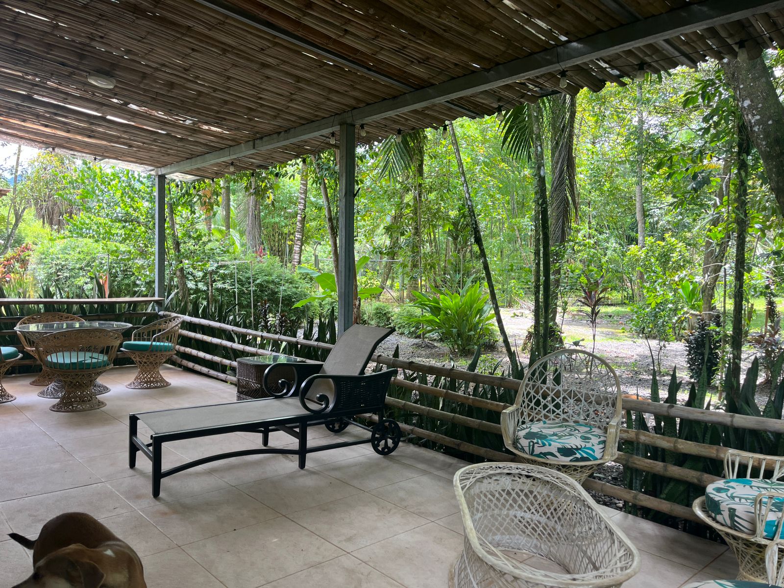 Perla Tropical, Rio Seco, Parrita - Image 25