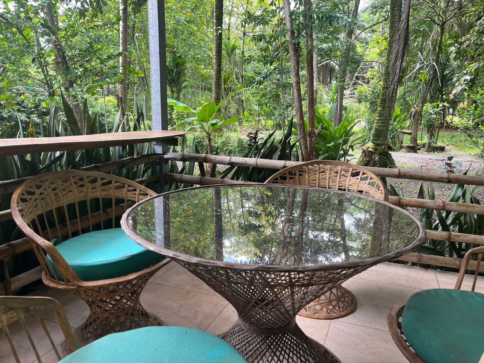 Perla Tropical, Rio Seco, Parrita - Image 9